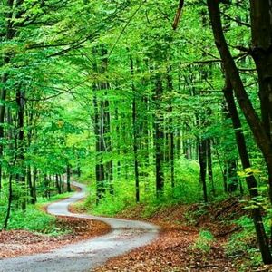 Meet your Posher, Alberta